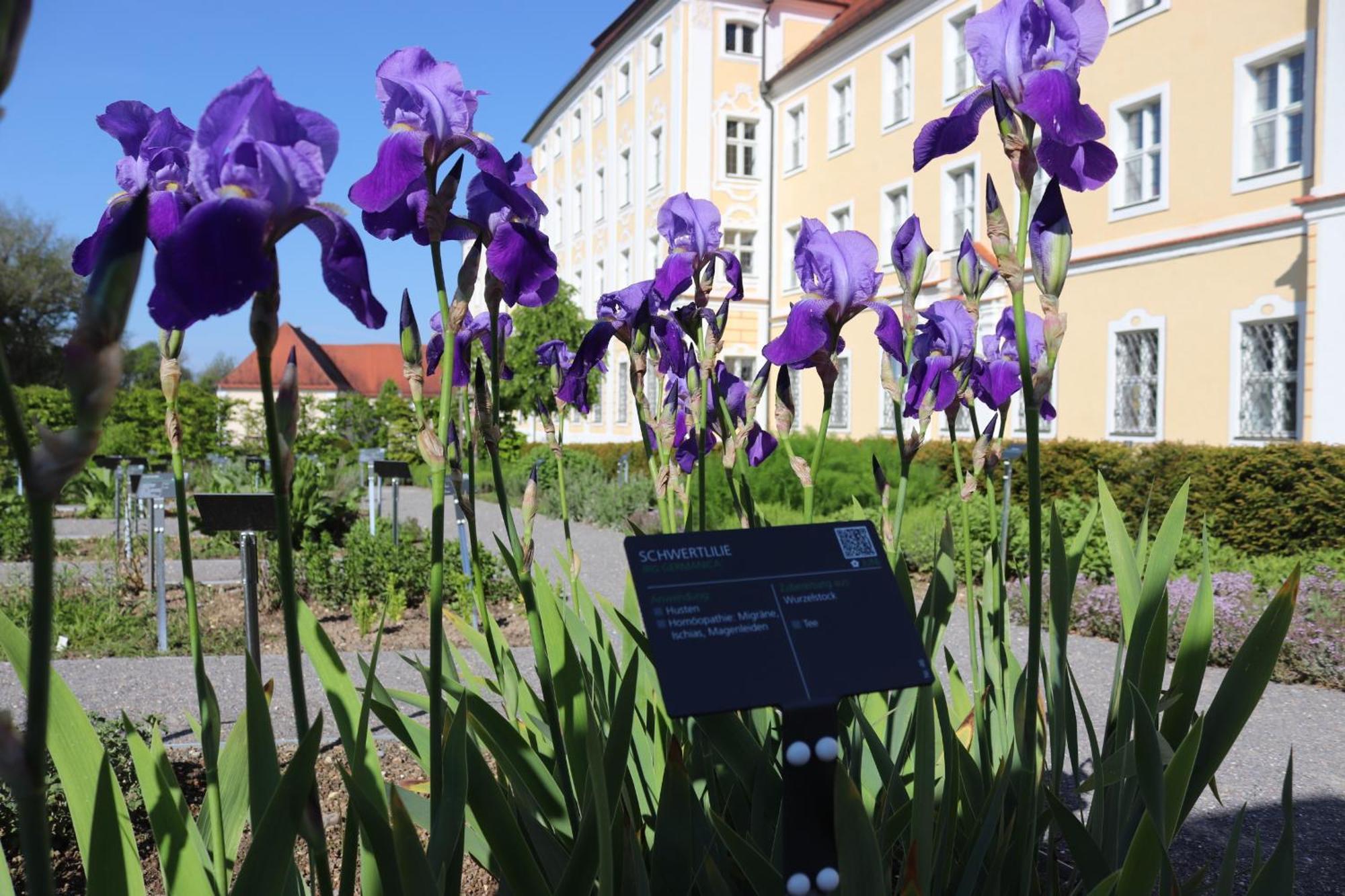 Klostergasthof Roggenburg Εξωτερικό φωτογραφία
