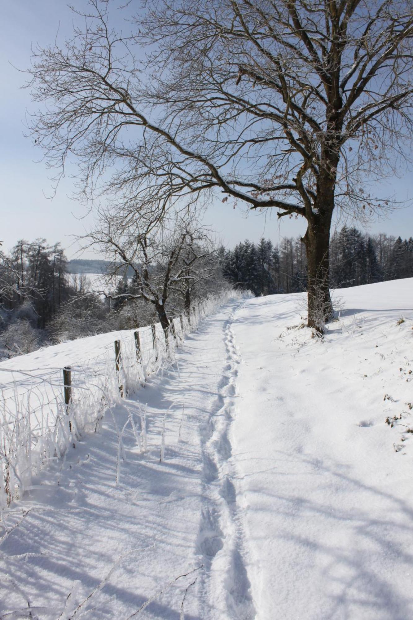 Klostergasthof Roggenburg Εξωτερικό φωτογραφία